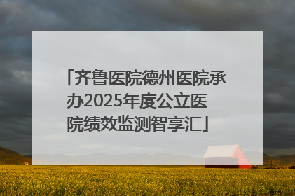 齐鲁医院德州医院承办2025年度公立医院绩效监测智享汇
