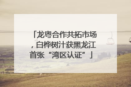 龙粤合作共拓市场，白桦树汁获黑龙江首张“湾区认证”