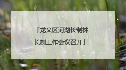 龙文区河湖长制林长制工作会议召开