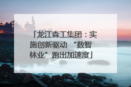 龙江森工集团：实施创新驱动 “数智林业”跑出加速度