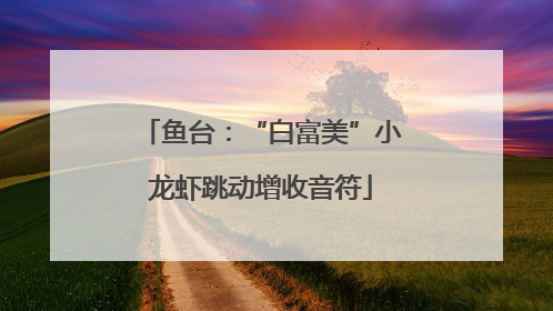鱼台：“白富美”小龙虾跳动增收音符