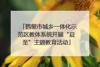 鹤壁市城乡一体化示范区教体系统开展“夏至”主题教育活动