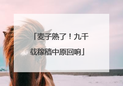 麦子熟了！九千载稼穑中原回响