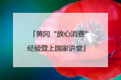 黄冈“放心消费”经验登上国家讲堂