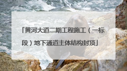 黄河大道二期工程施工（一标段）地下通道主体结构封顶