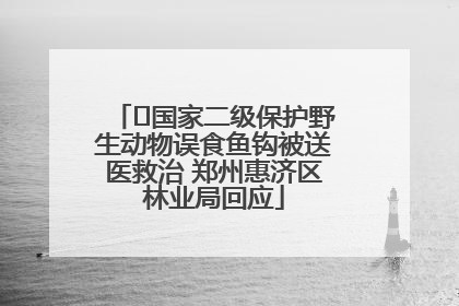 ﻿国家二级保护野生动物误食鱼钩被送医救治 郑州惠济区林业局回应