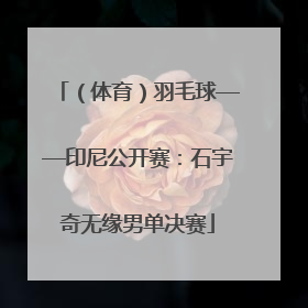 （体育）羽毛球——印尼公开赛：石宇奇无缘男单决赛