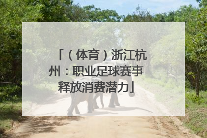 （体育）浙江杭州：职业足球赛事释放消费潜力
