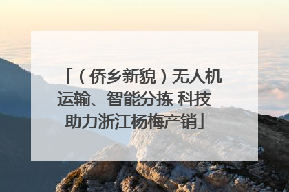 （侨乡新貌）无人机运输、智能分拣 科技助力浙江杨梅产销