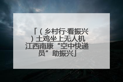 （乡村行·看振兴）土鸡坐上无人机 江西南康“空中快递员”助振兴