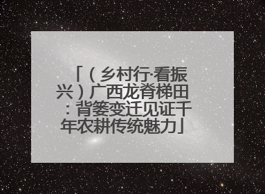 （乡村行·看振兴）广西龙脊梯田：背篓变迁见证千年农耕传统魅力