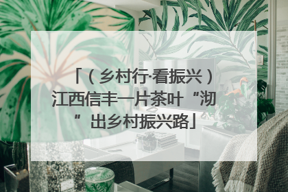 （乡村行·看振兴）江西信丰一片茶叶“沏”出乡村振兴路