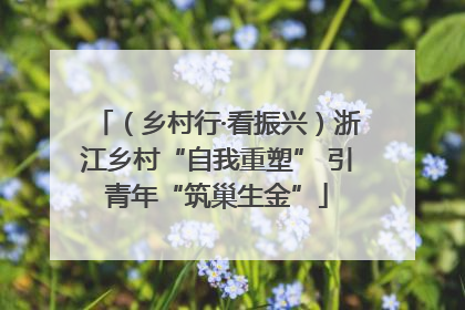 （乡村行·看振兴）浙江乡村“自我重塑” 引青年“筑巢生金”