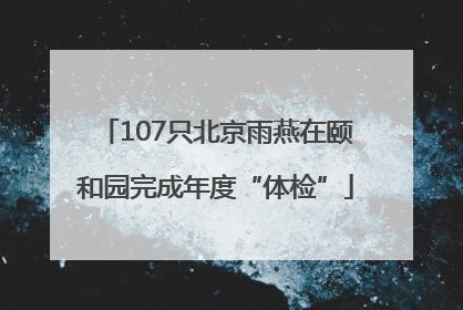 107只北京雨燕在颐和园完成年度“体检”