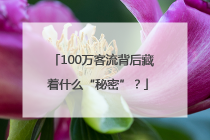 100万客流背后藏着什么“秘密”？