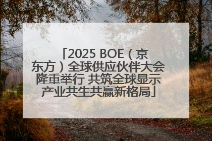 2025 BOE（京东方）全球供应伙伴大会隆重举行 共筑全球显示产业共生共赢新格局