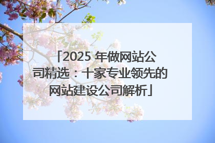 2025 年做网站公司精选：十家专业领先的网站建设公司解析