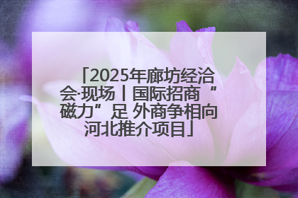 2025年廊坊经洽会·现场丨国际招商“磁力”足 外商争相向河北推介项目