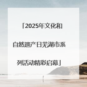 2025年文化和自然遗产日芜湖市系列活动精彩启幕