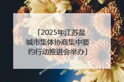 2025年江苏盐城市集体协商集中要约行动推进会举办