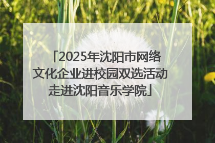 2025年沈阳市网络文化企业进校园双选活动走进沈阳音乐学院