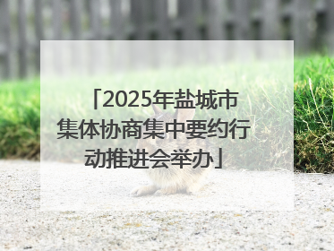 2025年盐城市集体协商集中要约行动推进会举办