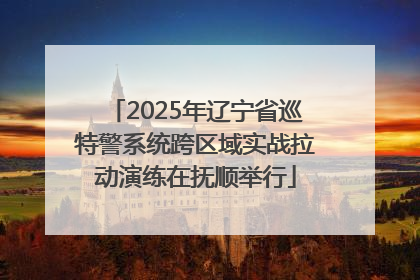 2025年辽宁省巡特警系统跨区域实战拉动演练在抚顺举行