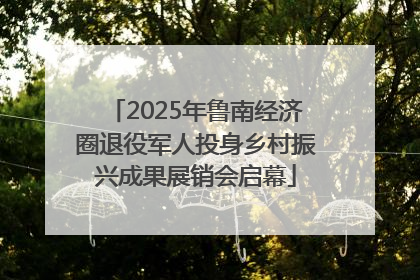 2025年鲁南经济圈退役军人投身乡村振兴成果展销会启幕