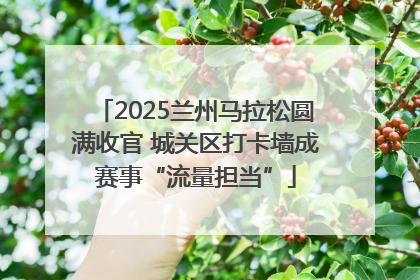 2025兰州马拉松圆满收官 城关区打卡墙成赛事“流量担当”