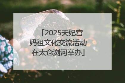 2025天妃宫妈祖文化交流活动在太仓浏河举办
