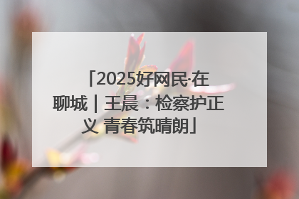 2025好网民·在聊城｜王晨：检察护正义 青春筑晴朗