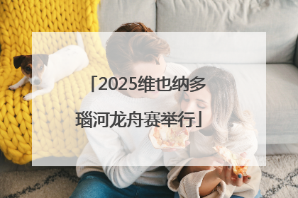 2025维也纳多瑙河龙舟赛举行
