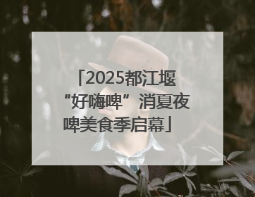 2025都江堰“好嗨啤”消夏夜啤美食季启幕