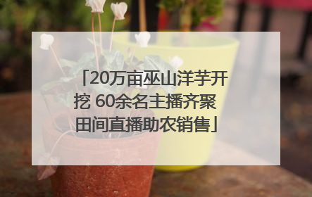 20万亩巫山洋芋开挖 60余名主播齐聚田间直播助农销售