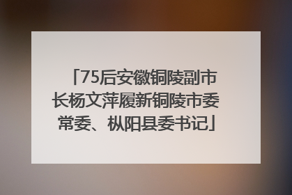 75后安徽铜陵副市长杨文萍履新铜陵市委常委、枞阳县委书记