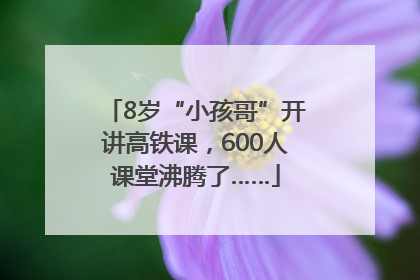 8岁“小孩哥”开讲高铁课，600人课堂沸腾了……