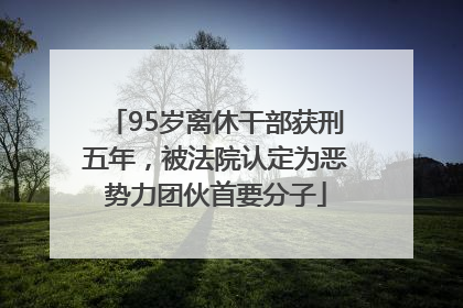 95岁离休干部获刑五年，被法院认定为恶势力团伙首要分子