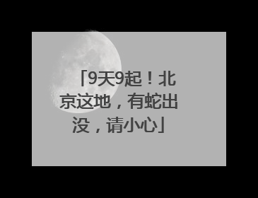 9天9起！北京这地，有蛇出没，请小心