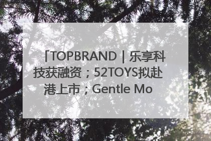 TOPBRAND｜乐享科技获融资；52TOYS拟赴港上市；Gentle Monster合作谷歌；Valentino传播官离职